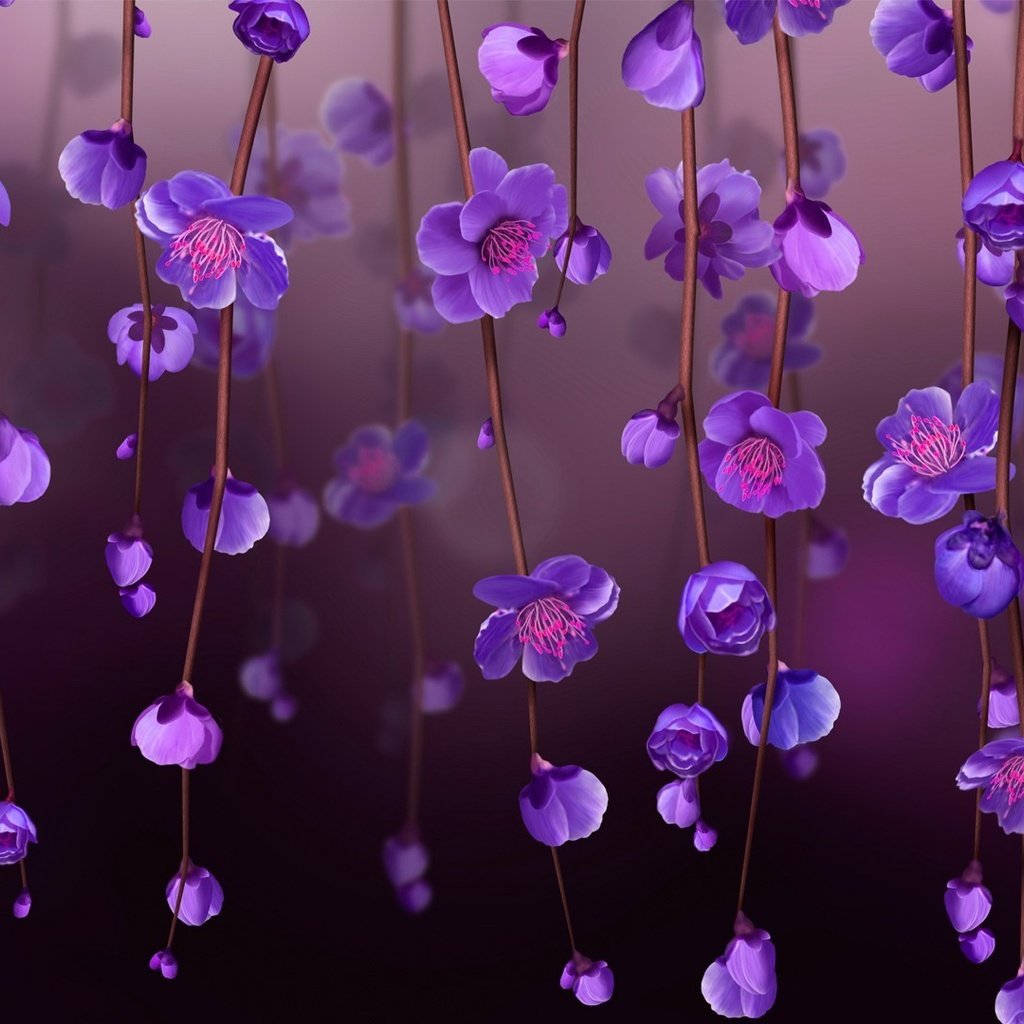 Обои цветы, арт, ветки, лепестки, фиолетовые, flowers, art, branches, petals, purple разрешение 1920x1080 Загрузить