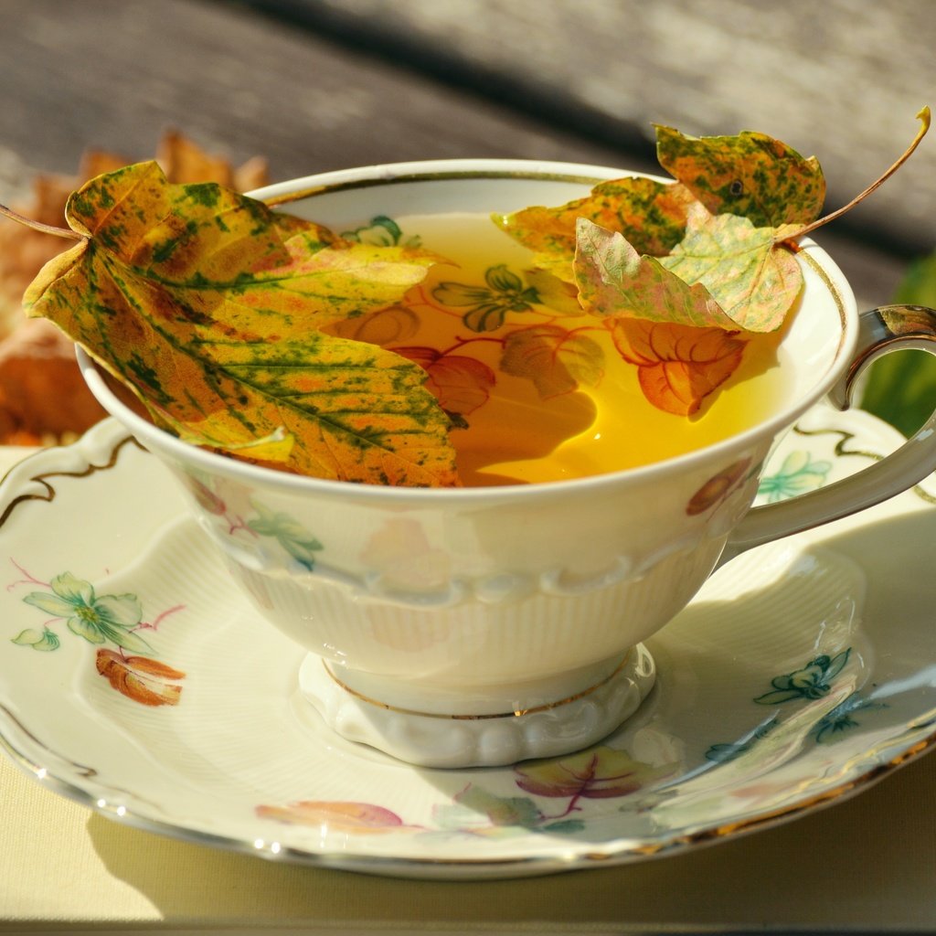 Обои блюдце, чашка, чай, фарфор, осенние листья, saucer, cup, tea, porcelain, autumn leaves разрешение 6000x3241 Загрузить