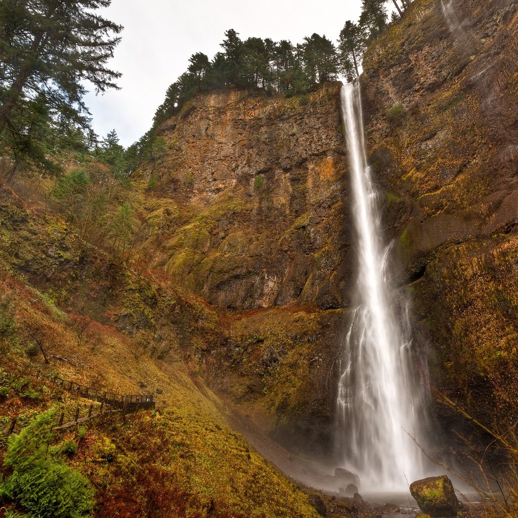 Обои деревья, скалы, водопад, сша, орегон, multnomah falls, водопад мультномах, trees, rocks, waterfall, usa, oregon разрешение 4077x2713 Загрузить