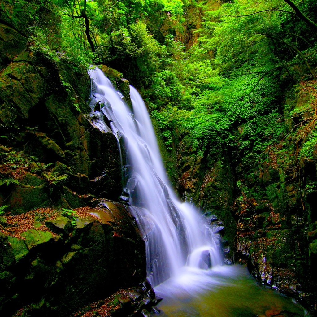 Обои камни, лес, пейзаж, скала, водопад, мох, stones, forest, landscape, rock, waterfall, moss разрешение 3000x2000 Загрузить