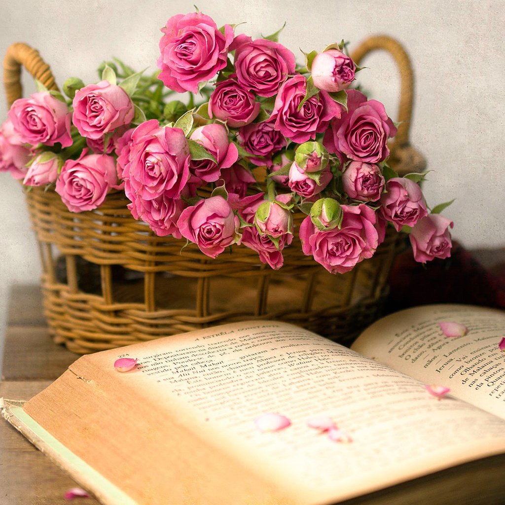 Обои цветы, розы, корзина, книга, flowers, roses, basket, book разрешение 1920x1200 Загрузить