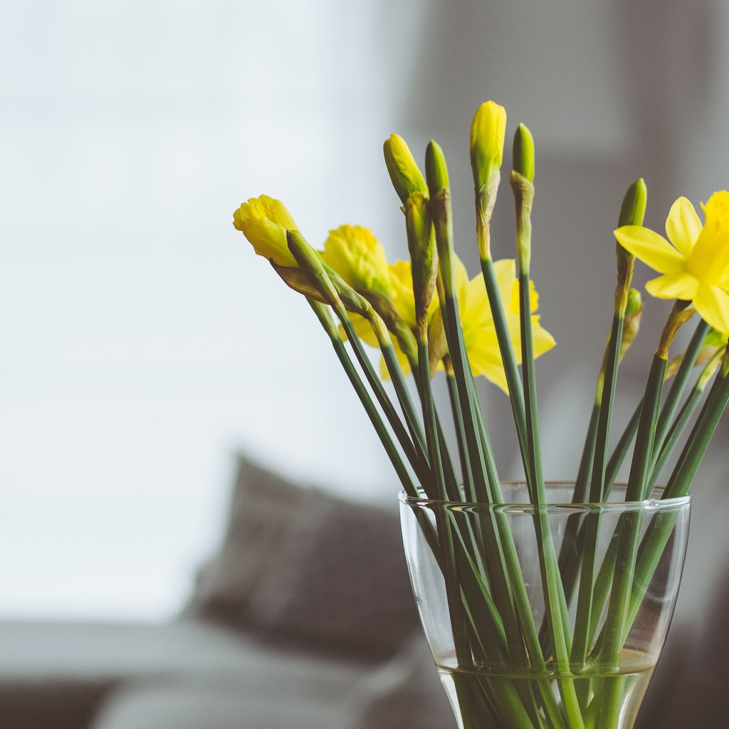 Обои цветы, букет, ваза, нарциссы, желтые, flowers, bouquet, vase, daffodils, yellow разрешение 3840x2400 Загрузить