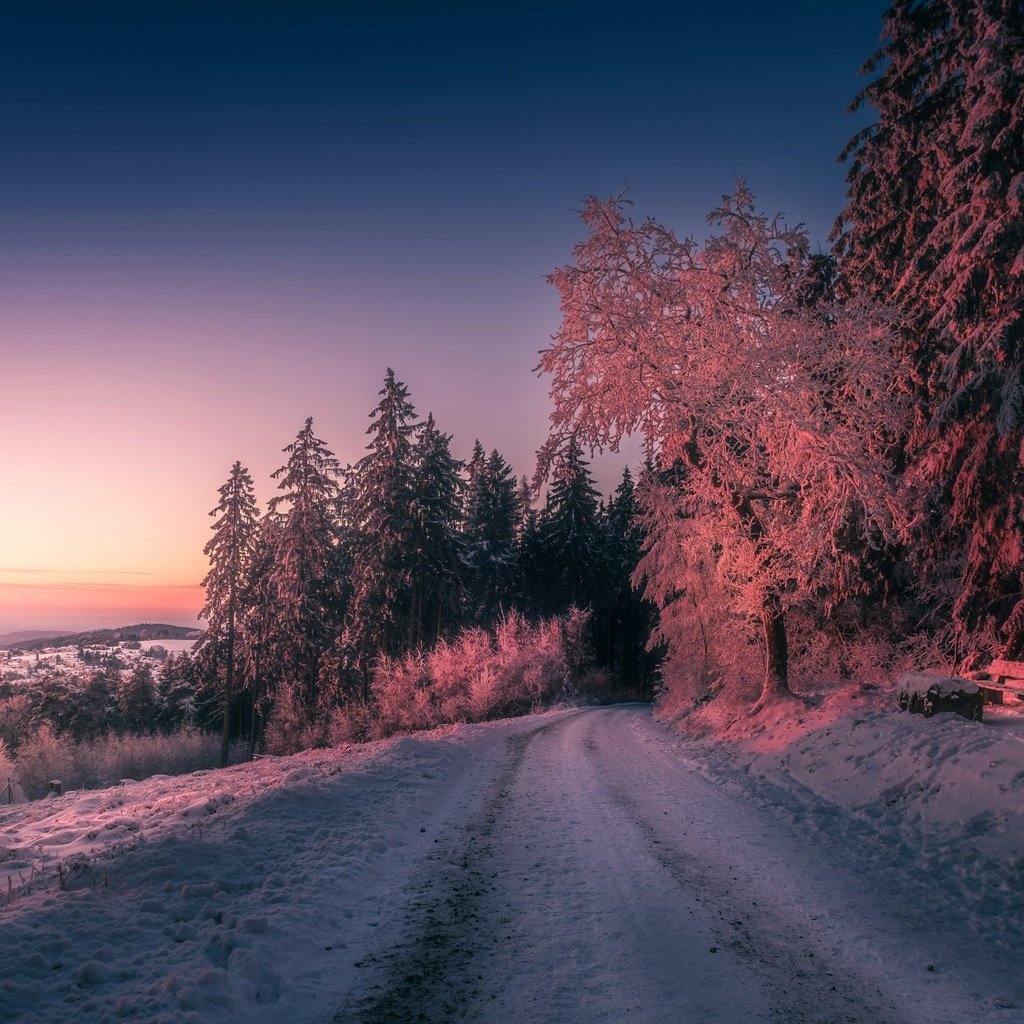 Обои дорога, деревья, вечер, природа, закат, зима, road, trees, the evening, nature, sunset, winter разрешение 2880x1800 Загрузить