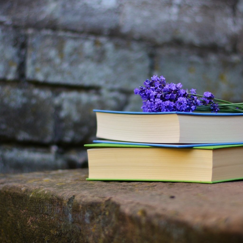 Обои лаванда, стена, книги, кирпичи, чтение, фиолетовые цветы, lavender, wall, books, bricks, reading, purple flowers разрешение 5071x3341 Загрузить