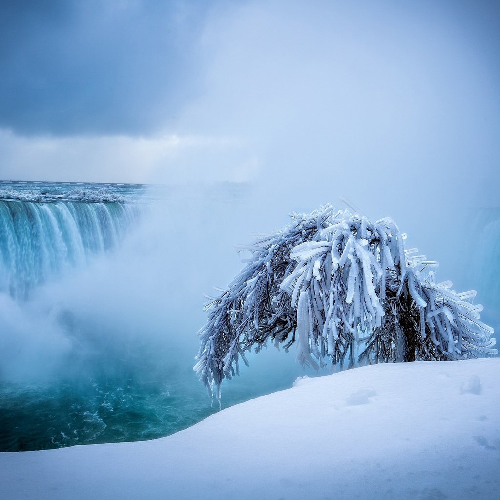 Обои снег, природа, дерево, зима, водопад, ниагарский водопад, snow, nature, tree, winter, waterfall, niagara falls разрешение 2560x1600 Загрузить