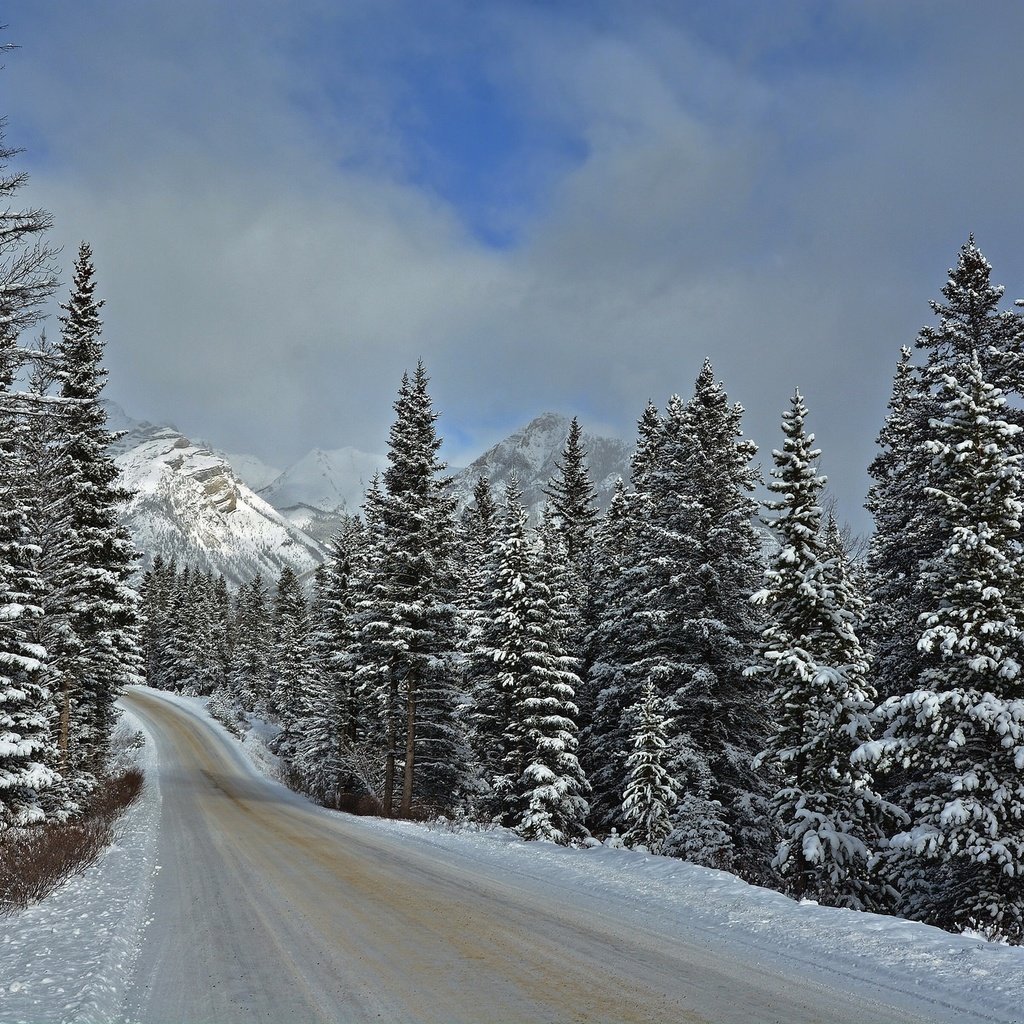 Обои дорога, горы, зима, пейзаж, национальный парк банф, road, mountains, winter, landscape, banff national park разрешение 2048x1366 Загрузить