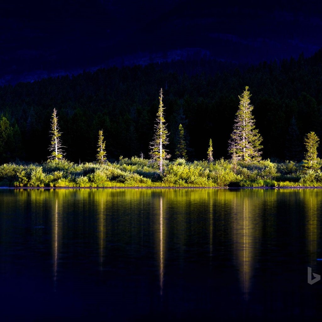 Обои деревья, озеро, горы, природа, лес, отражение, bing, trees, lake, mountains, nature, forest, reflection разрешение 1920x1200 Загрузить