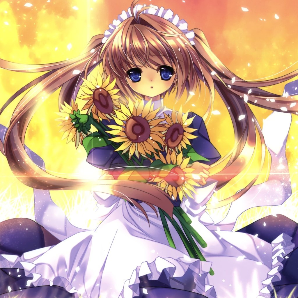 Обои аниме, девочка, подсолнухи, белое платье, anime, girl, sunflowers, white dress разрешение 2104x1672 Загрузить
