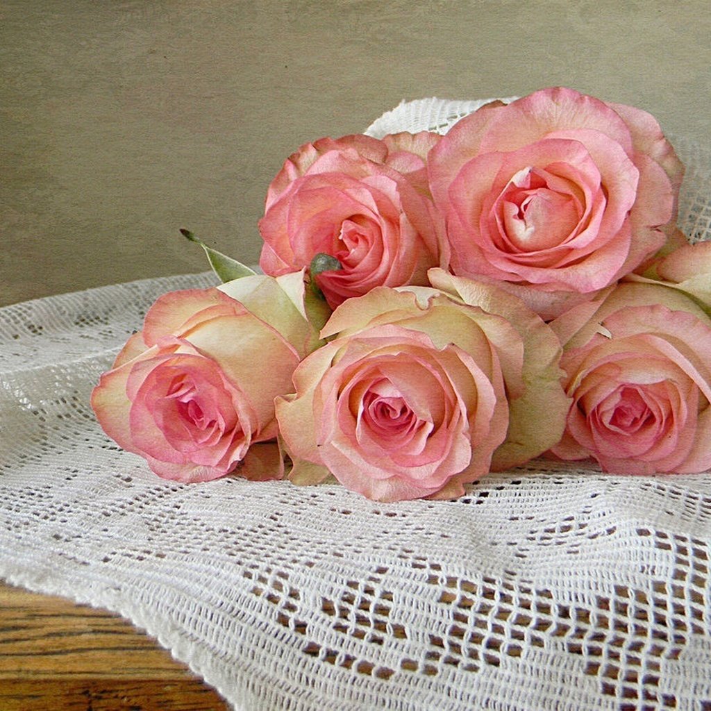 Обои цветы, розы, букет, розовые, скатерть, flowers, roses, bouquet, pink, tablecloth разрешение 2048x1278 Загрузить