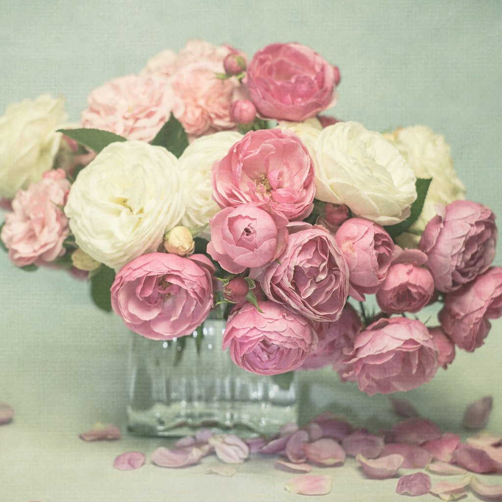 Обои цветы, розы, лепестки, букет, розовые, белые, ваза, flowers, roses, petals, bouquet, pink, white, vase разрешение 2048x1477 Загрузить