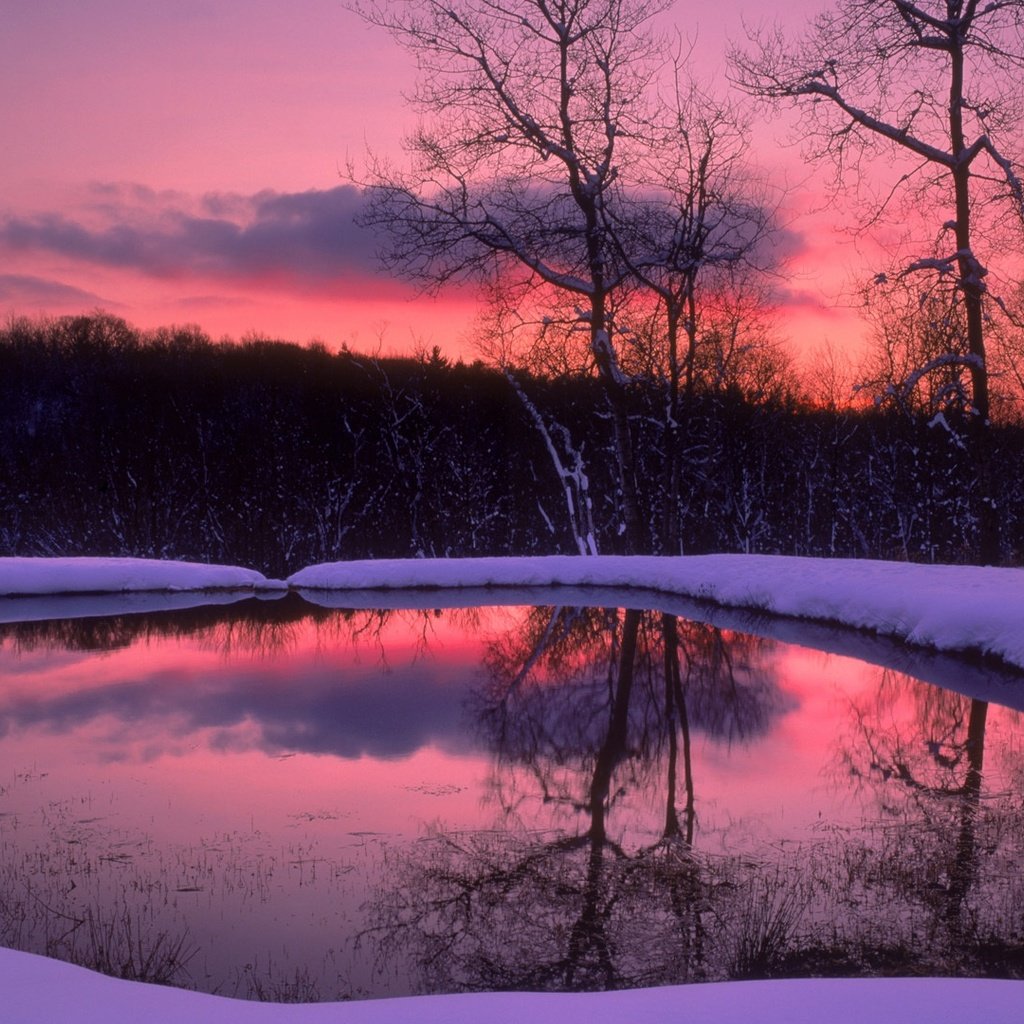 Обои деревья, вечер, озеро, снег, лес, зима, отражение, trees, the evening, lake, snow, forest, winter, reflection разрешение 1920x1080 Загрузить