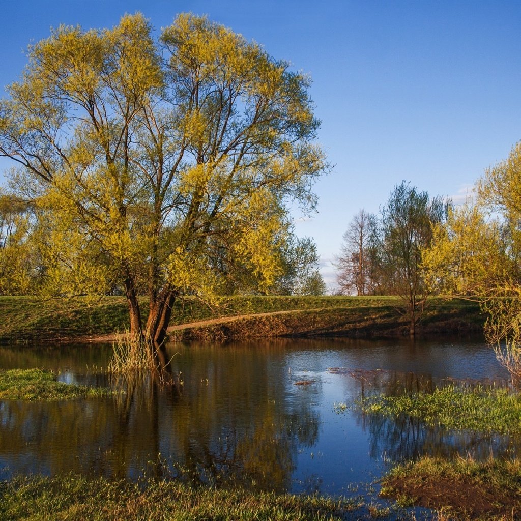 Обои деревья, река, природа, листья, осень, trees, river, nature, leaves, autumn разрешение 1920x1301 Загрузить