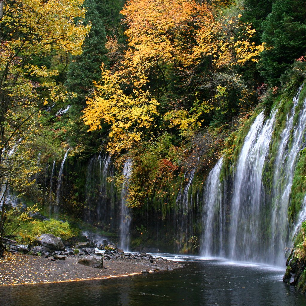 Обои река, природа, лес, водопад, осень, river, nature, forest, waterfall, autumn разрешение 2880x1800 Загрузить