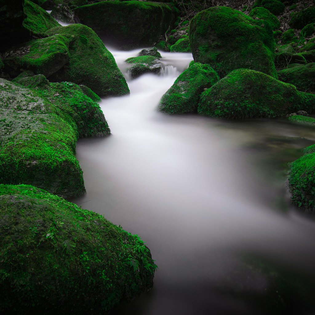 Обои вода, река, природа, камни, мох, water, river, nature, stones, moss разрешение 1920x1200 Загрузить