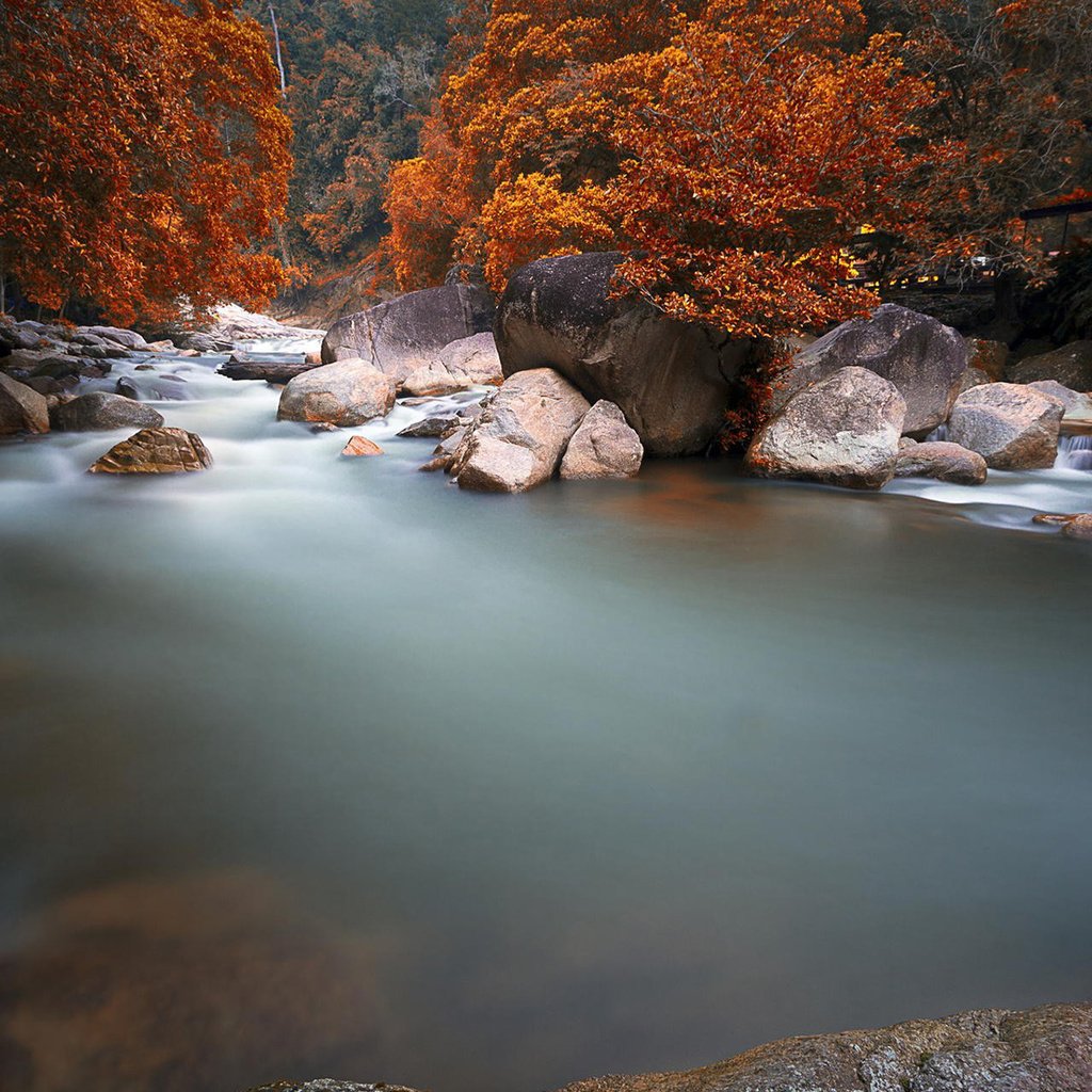 Обои река, природа, пейзаж, кусты, осень, river, nature, landscape, the bushes, autumn разрешение 1920x1200 Загрузить