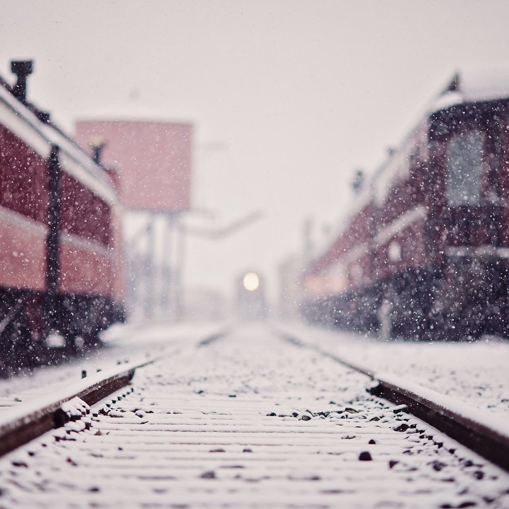 Обои снег, железная дорога, рельсы, зима, поезда, поезд, снегопад, snow, railroad, rails, winter, trains, train, snowfall разрешение 1920x1200 Загрузить