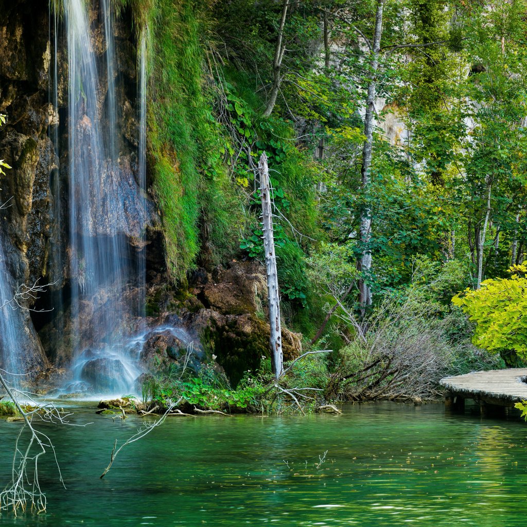 Обои озеро, скалы, камни, лес, водопад, хорватия, мостки, plitvice lakes national park, lake, rocks, stones, forest, waterfall, croatia, bridges разрешение 3140x1860 Загрузить