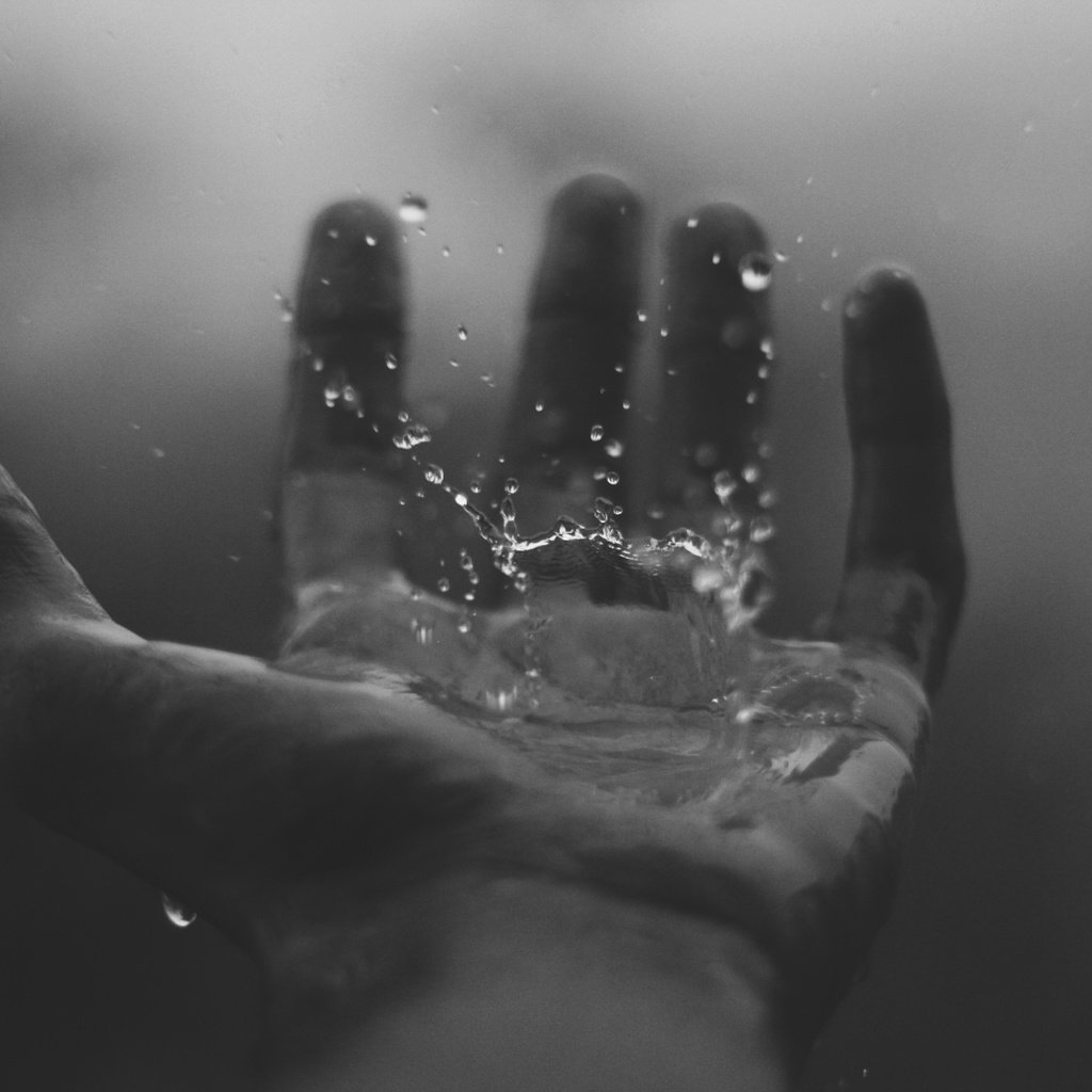 Обои рука, капли, чёрно-белое, дождь, капли воды, hand, drops, black and white, rain, water drops разрешение 5184x3456 Загрузить