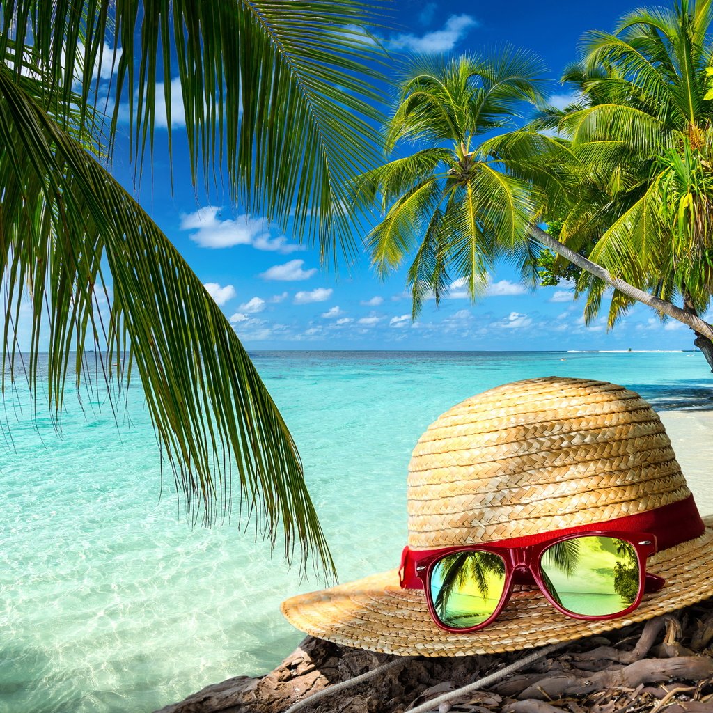 Обои лето, очки, пальмы, океан, тропики, шляпа, отпуск, summer, glasses, palm trees, the ocean, tropics, hat, vacation разрешение 6000x4000 Загрузить