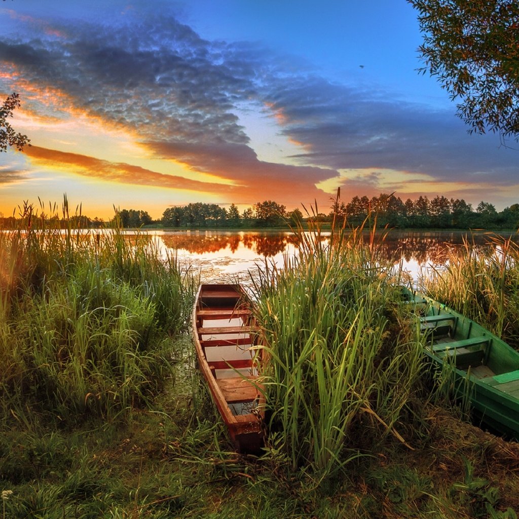 Обои небо, лодка, трава, камыши, озеро, солнце, природа, берег, закат, лодки, the sky, boat, grass, the reeds, lake, the sun, nature, shore, sunset, boats разрешение 2560x1676 Загрузить