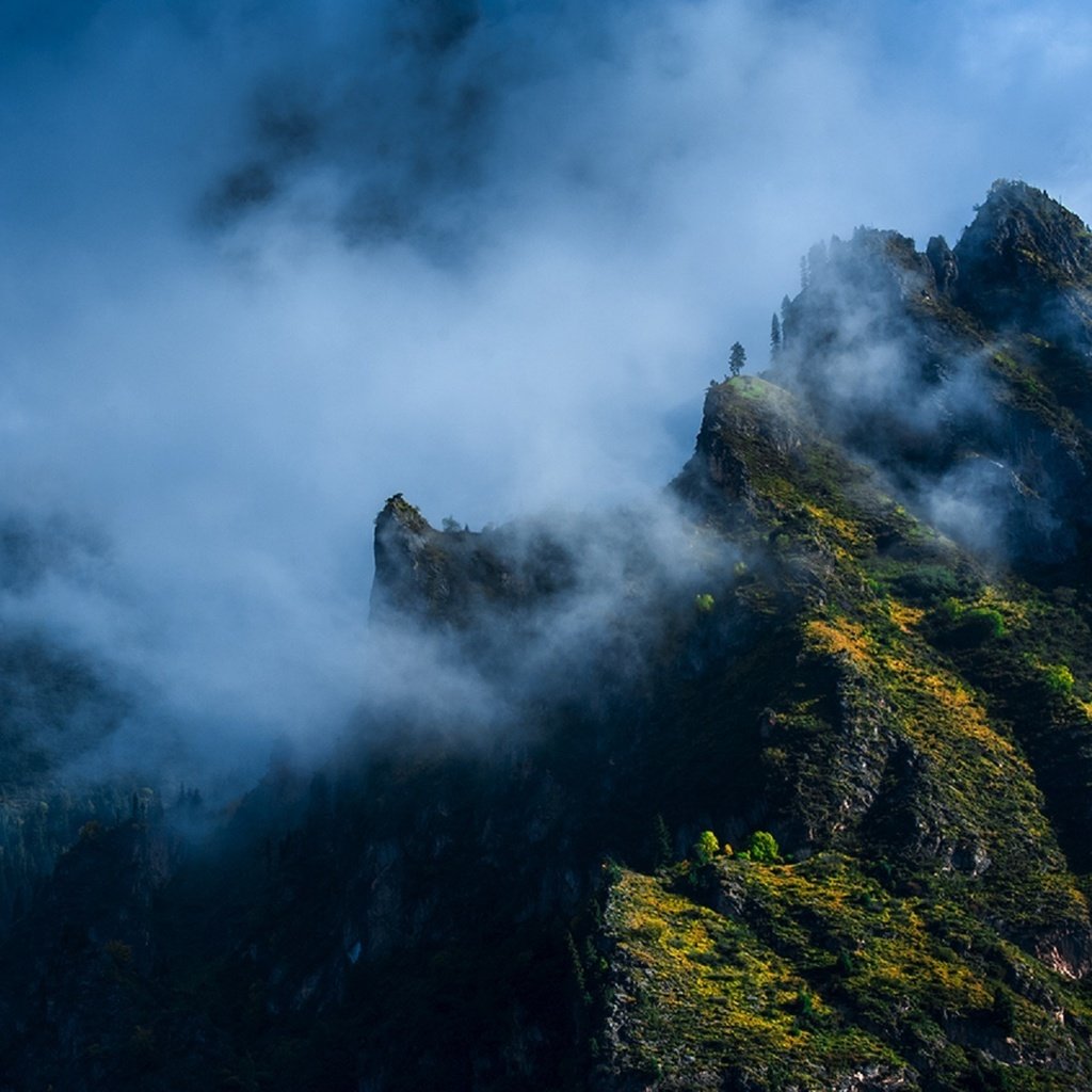 Обои горы, лес, туман, каменный город, дэн donglin, mountains, forest, fog, stone town, deng donglin разрешение 1920x1268 Загрузить