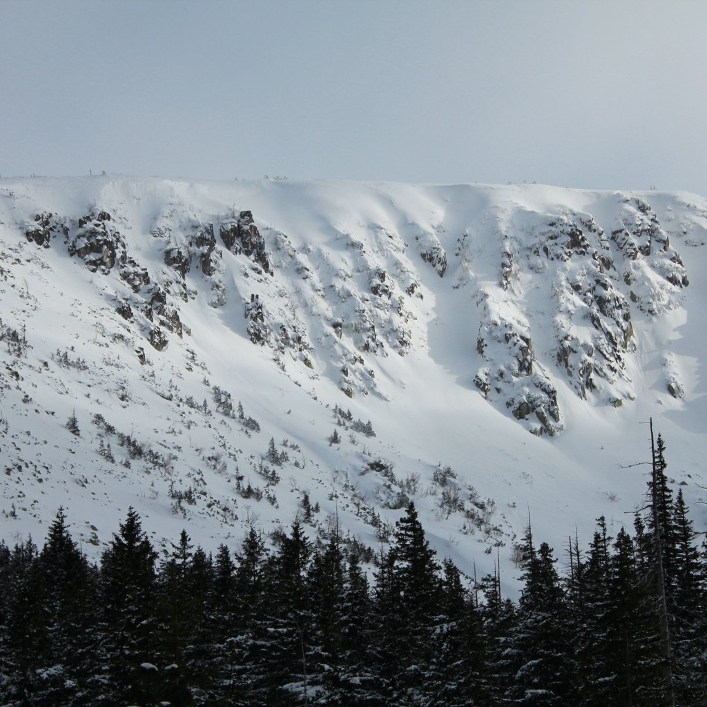 Обои горы, природа, лес, снежные вершины, mountains, nature, forest, snowy peaks разрешение 3840x2560 Загрузить