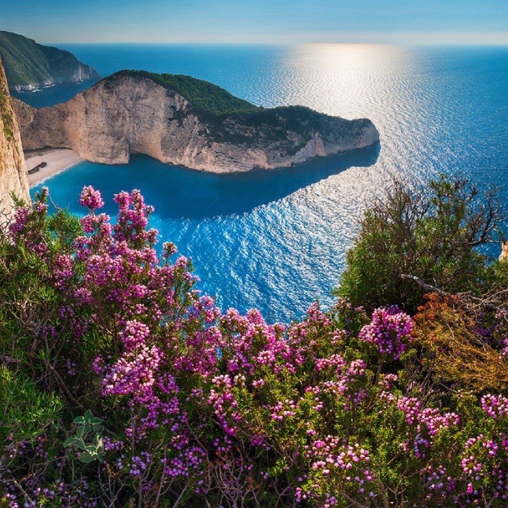 Обои цветы, скалы, море, побережье, греция, бухта навайо, navagio beach, остров закинф, навайо, shipwreck, flowers, rocks, sea, coast, greece, bay of navagio, island of zakynthos разрешение 1920x1089 Загрузить