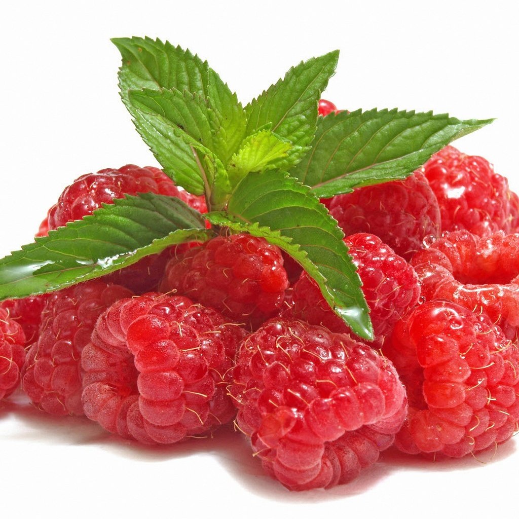 Обои листья, малина, ягода, белый фон, leaves, raspberry, berry, white background разрешение 5584x3536 Загрузить