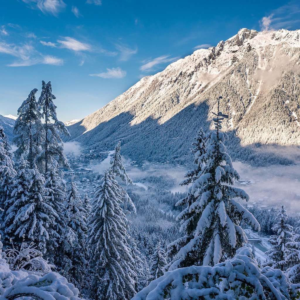 Обои небо, деревья, горы, снег, лес, зима, the sky, trees, mountains, snow, forest, winter разрешение 1920x1200 Загрузить