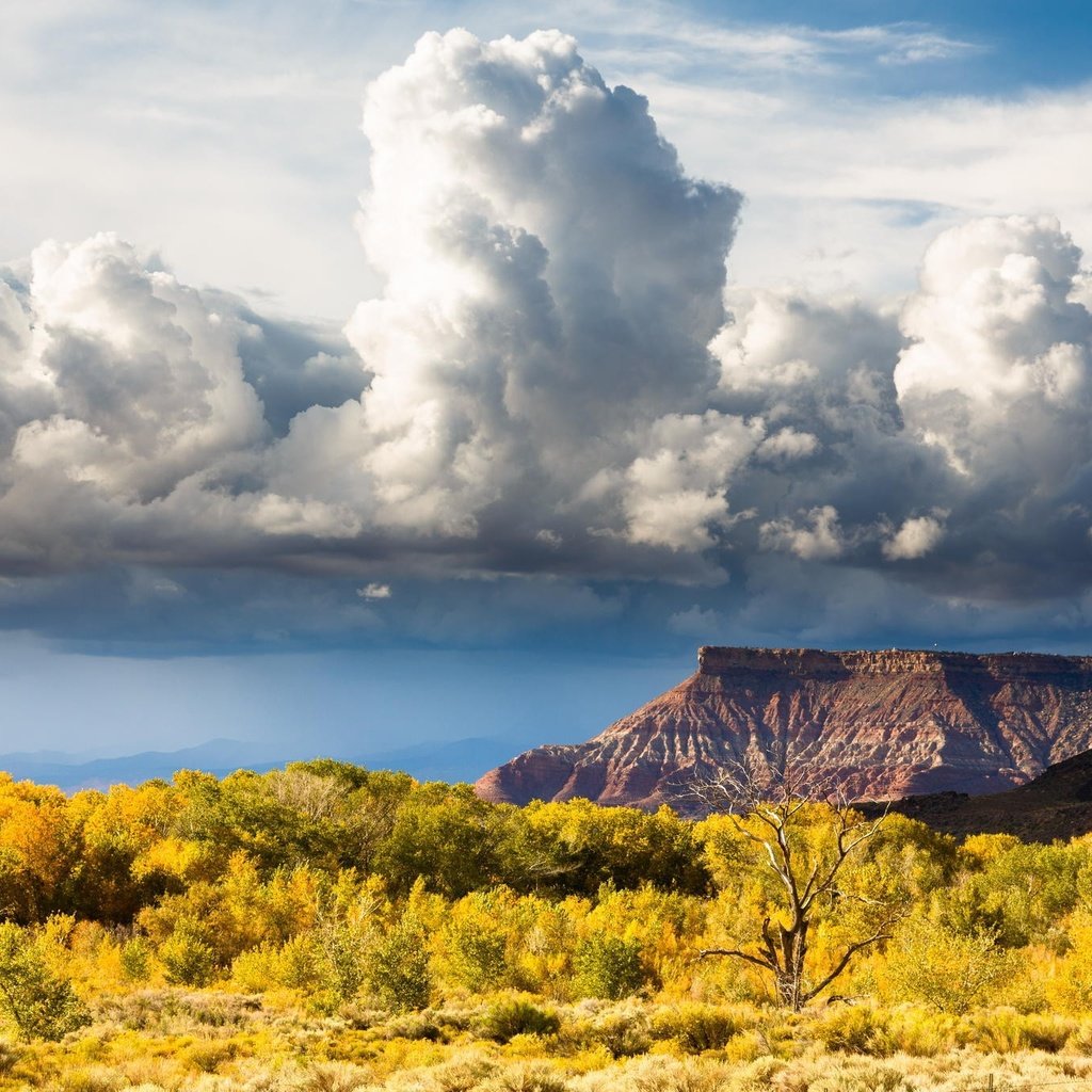 Обои небо, холм, облака, долина, природа, zion national park, горный хребет, пейзаж, поле, горизонт, луг, пастбище, the sky, hill, clouds, valley, nature, mountain range, landscape, field, horizon, meadow, pasture разрешение 2048x1365 Загрузить