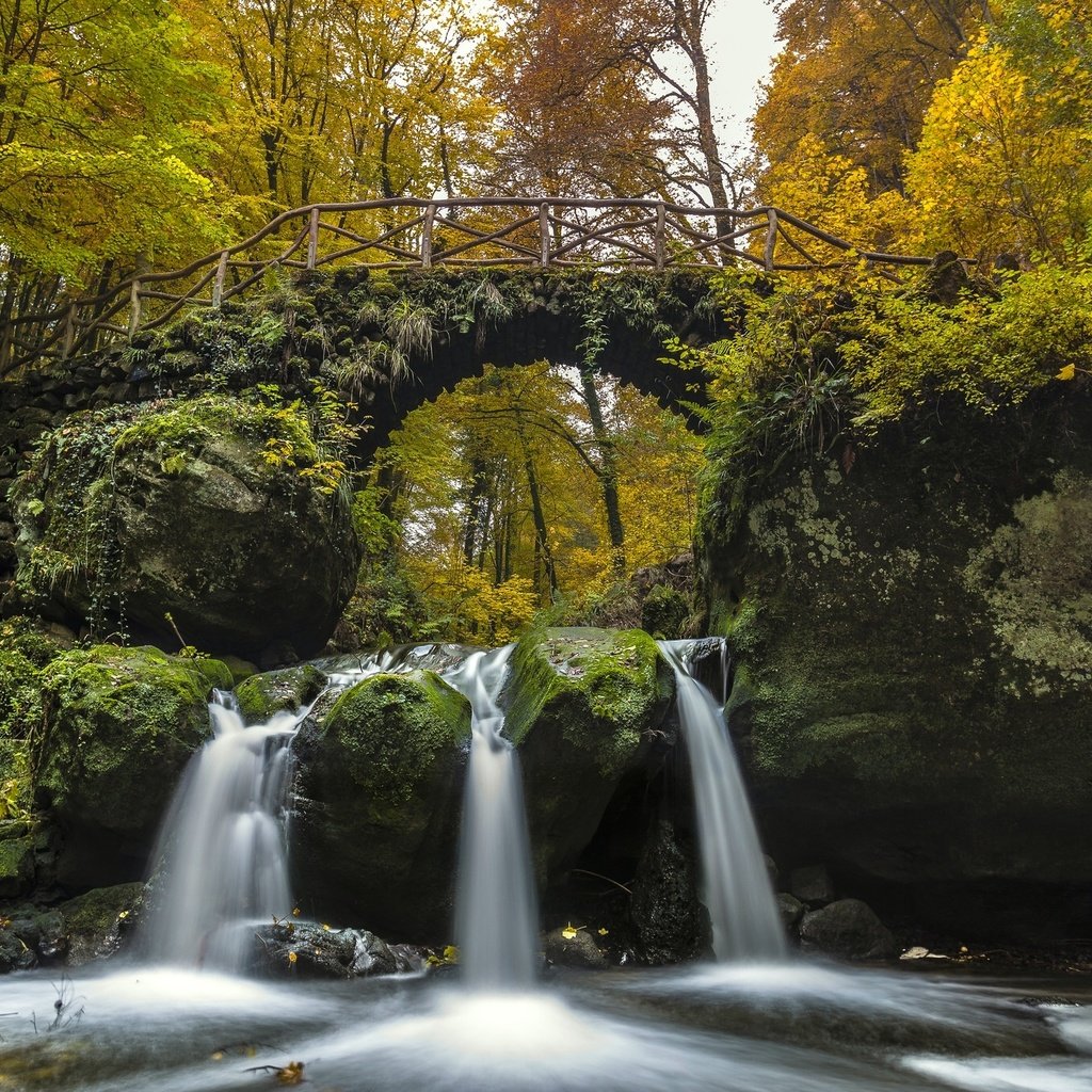 Обои деревья, река, мост, водопад, осень, мох, люксембург, trees, river, bridge, waterfall, autumn, moss, luxembourg разрешение 2048x1365 Загрузить