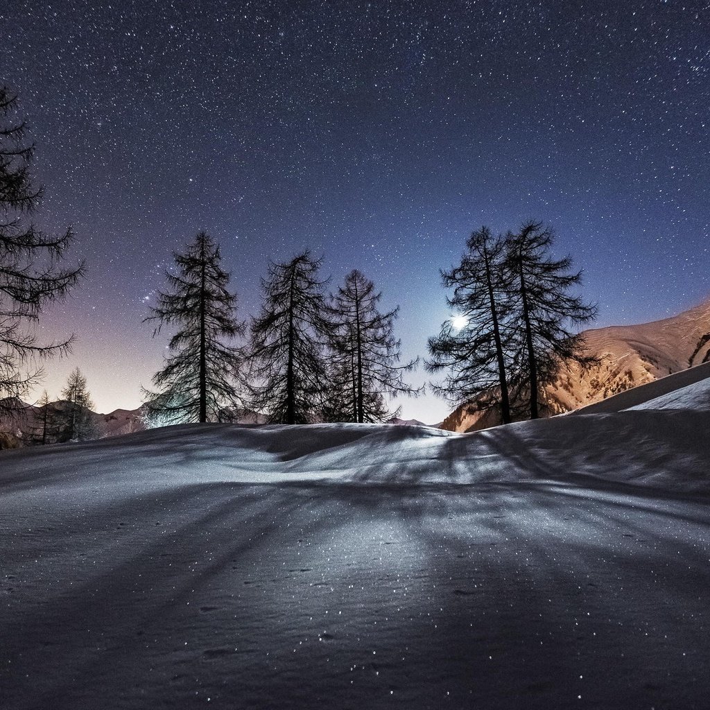 Обои небо, звезды, ночь, луна, деревья, горы, снег, природа, лес, зима, the sky, stars, night, the moon, trees, mountains, snow, nature, forest, winter разрешение 2048x1365 Загрузить