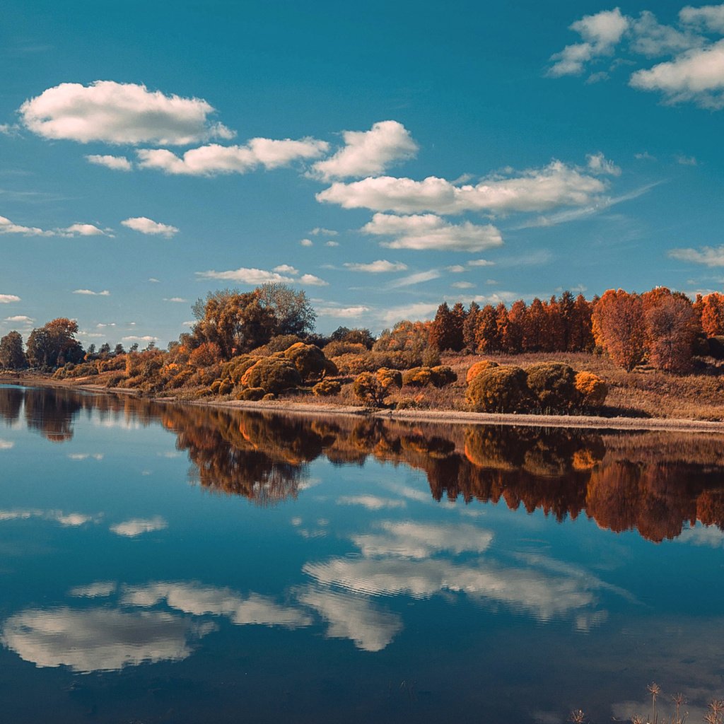 Обои небо, облака, озеро, природа, лес, отражение, пейзаж, осень, the sky, clouds, lake, nature, forest, reflection, landscape, autumn разрешение 1920x1200 Загрузить