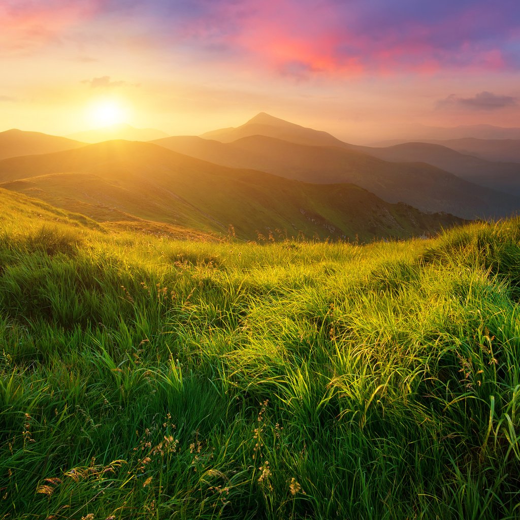 Обои трава, солнце, холмы, природа, пейзаж, луга, biletskyi ievgenii, grass, the sun, hills, nature, landscape, meadows, biletskyi use разрешение 3840x2400 Загрузить