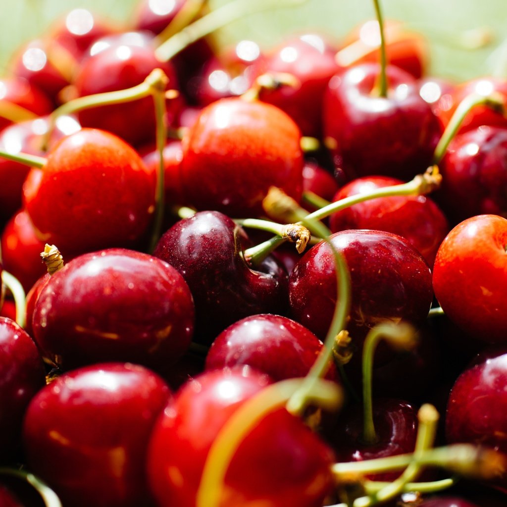 Обои макро, черешня, ягоды, вишня, много, боке, сочная, macro, cherry, berries, a lot, bokeh, juicy разрешение 6000x3375 Загрузить