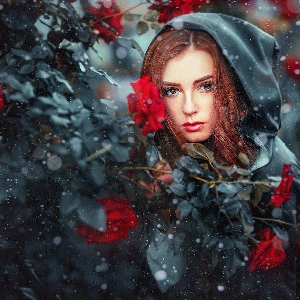 Девушка с розами на снегу