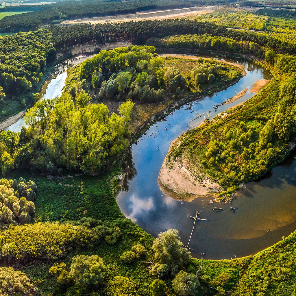 Обои деревья, леса, чехия, река, morava, солнце, straznice, зелень, лес, поля, лето, панорама, trees, czech republic, river, the sun, greens, forest, field, summer, panorama разрешение 2500x1188 Загрузить