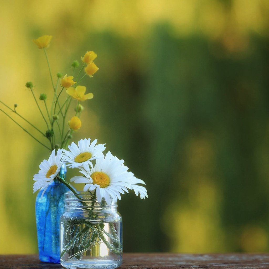 Обои ромашки, полевые цветы, банка, бутылочка, боке, лютики, chamomile, wildflowers, bank, bottle, bokeh, buttercups разрешение 2048x1365 Загрузить