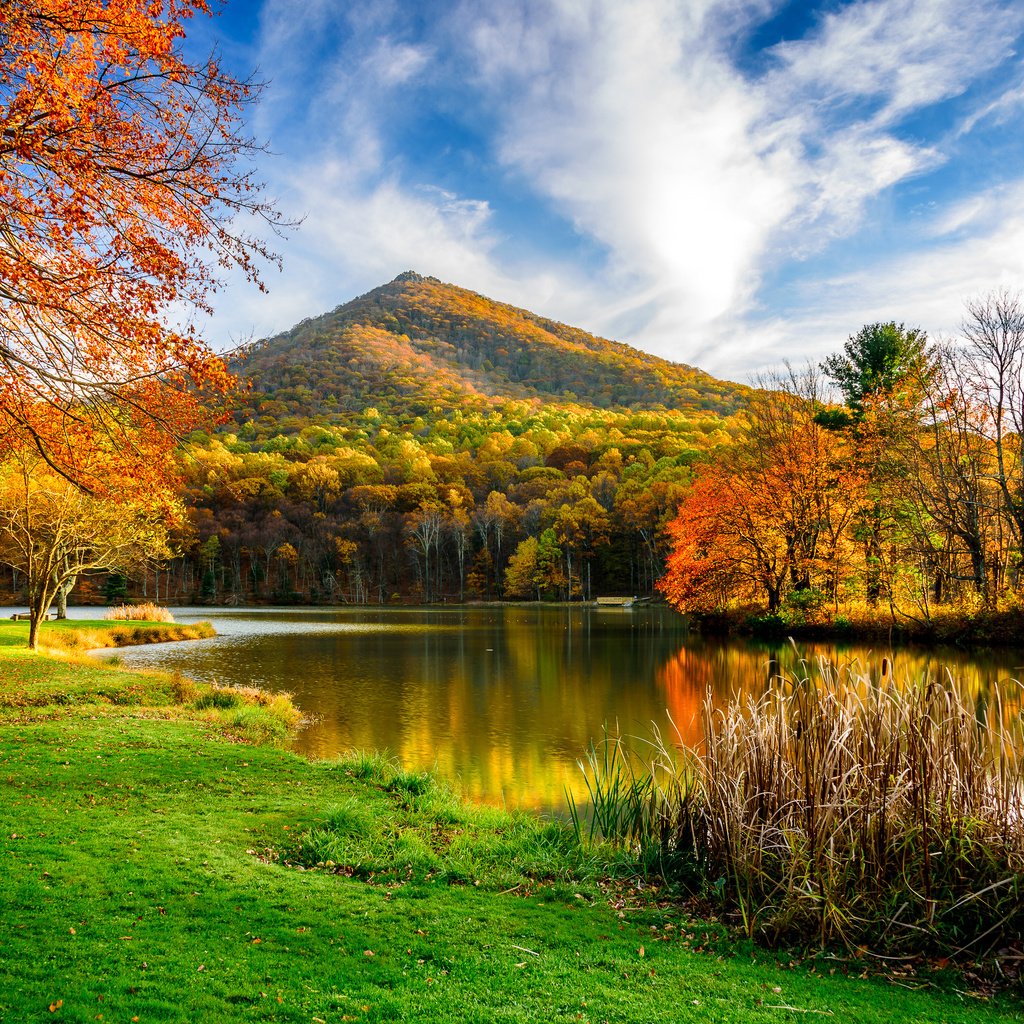 Обои трава, деревья, озеро, гора, осень, grass, trees, lake, mountain, autumn разрешение 3000x1991 Загрузить