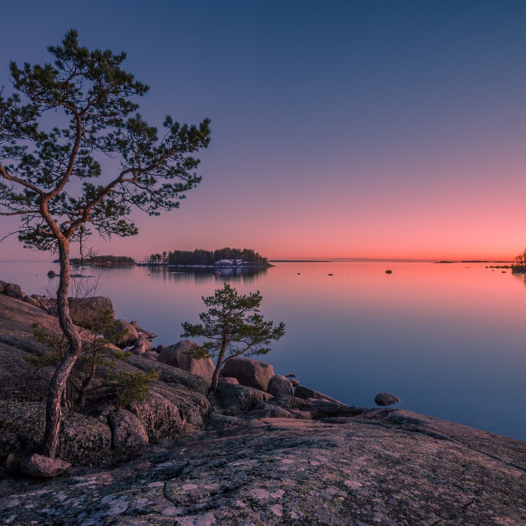 Обои деревья, камни, закат, остров, финляндия, финский залив, trees, stones, sunset, island, finland, gulf of finland разрешение 2048x1367 Загрузить