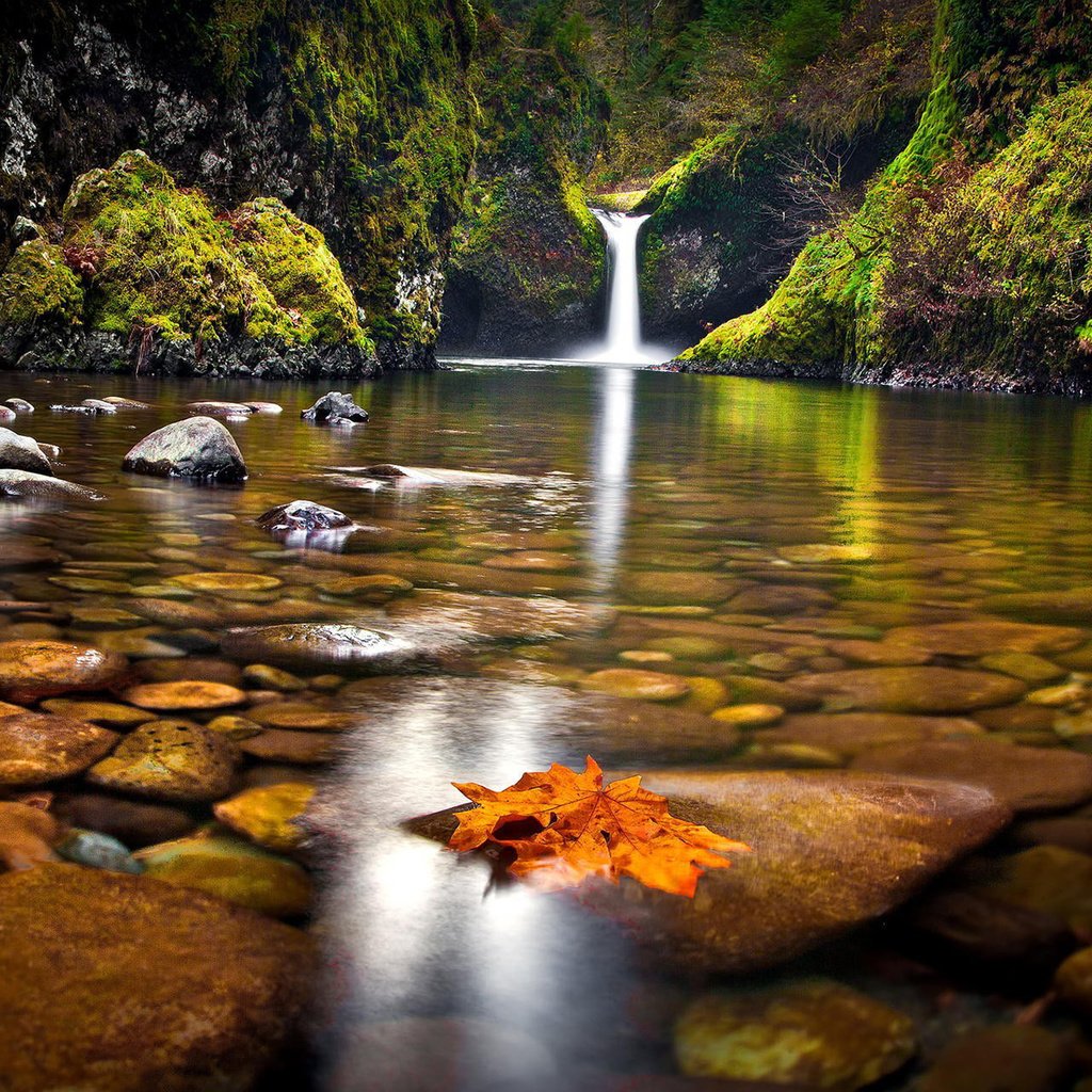 Обои озеро, природа, камни, лес, водопад, осень, дно, lake, nature, stones, forest, waterfall, autumn, the bottom разрешение 1920x1200 Загрузить