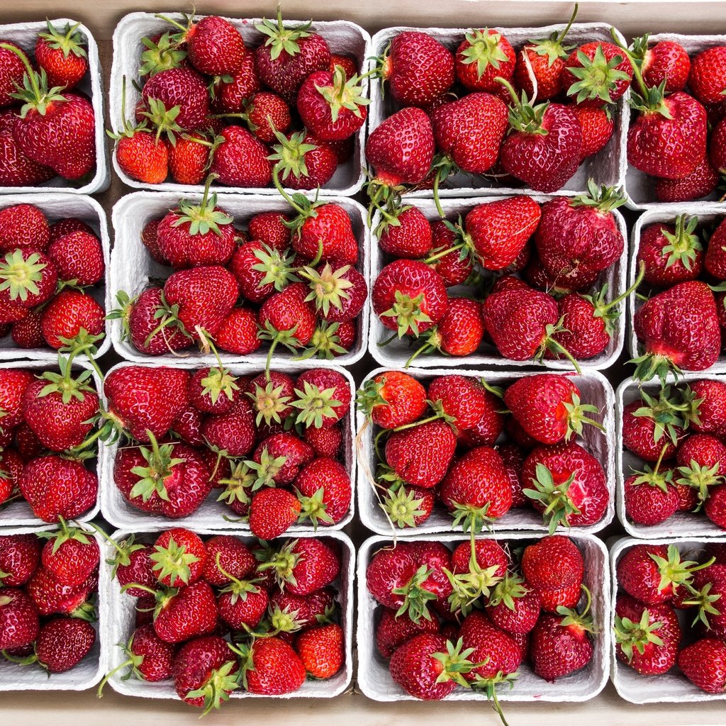 Обои клубника, ягоды, много, коробки, спелая клубника, strawberry, berries, a lot, box, ripe strawberries разрешение 4960x3307 Загрузить