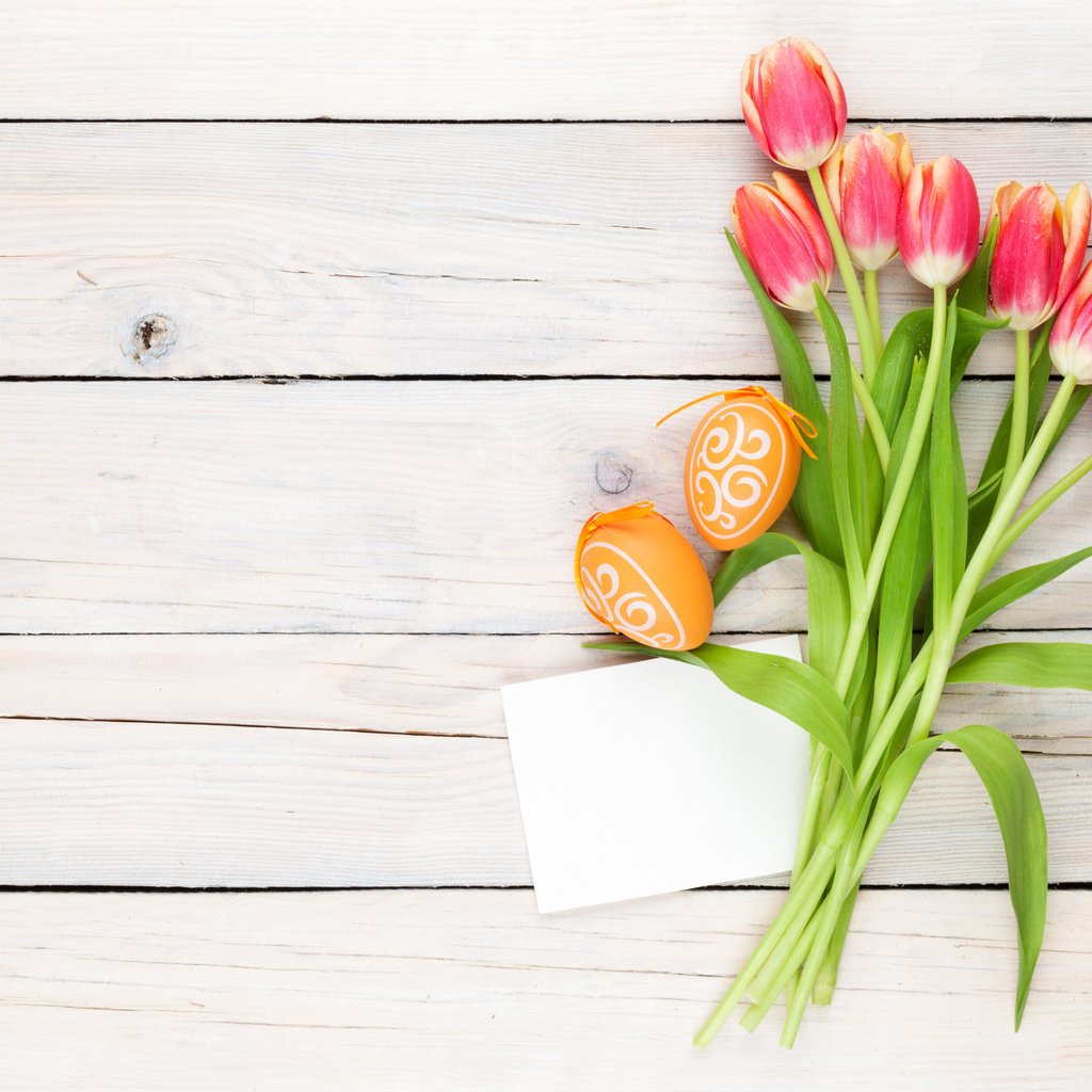 Обои тюльпаны, пасха, tulips, easter разрешение 5002x3744 Загрузить
