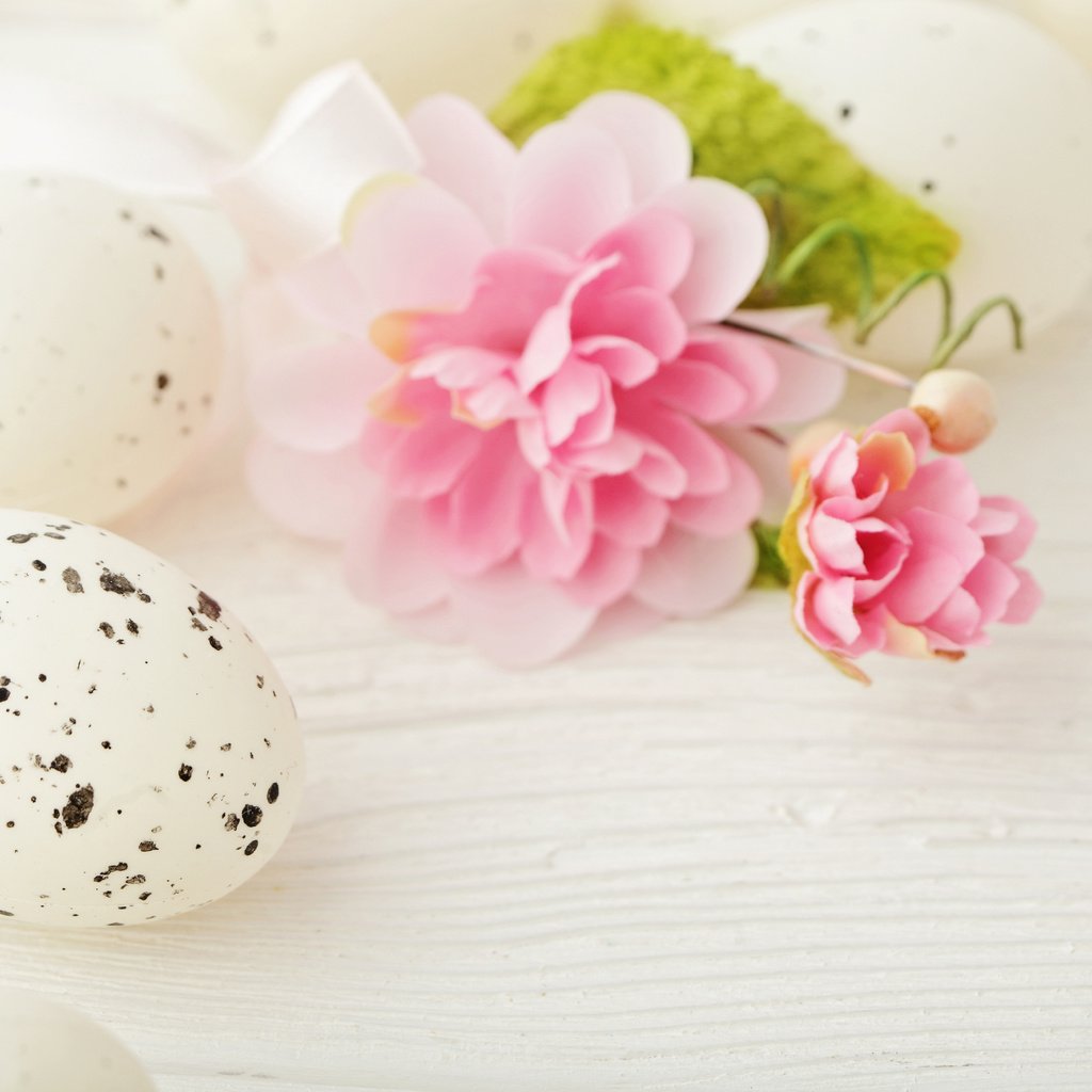 Обои пасха, яйца, камелия, easter, eggs, camellia разрешение 4835x3322 Загрузить