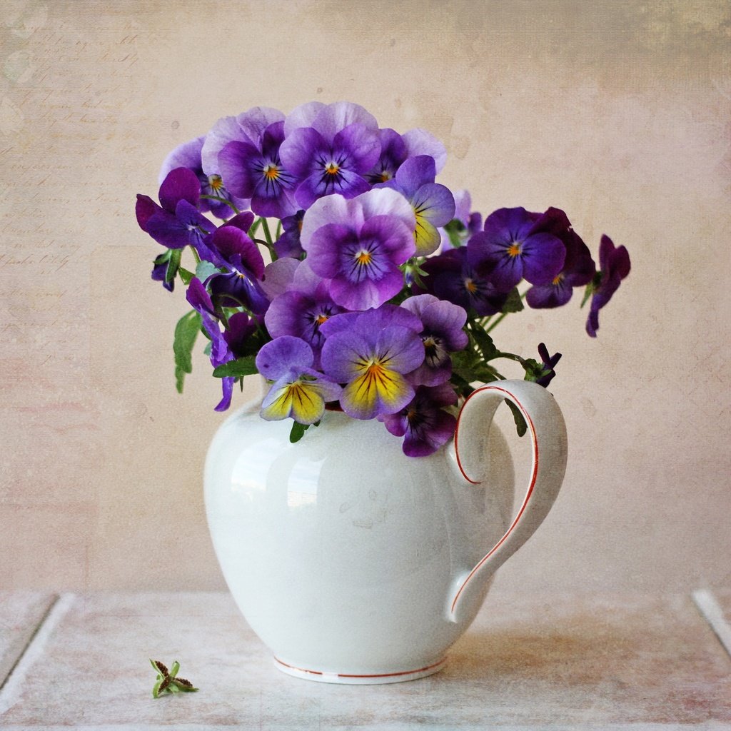 Обои букет, кувшин, анютины глазки, bouquet, pitcher, pansy разрешение 2560x1965 Загрузить