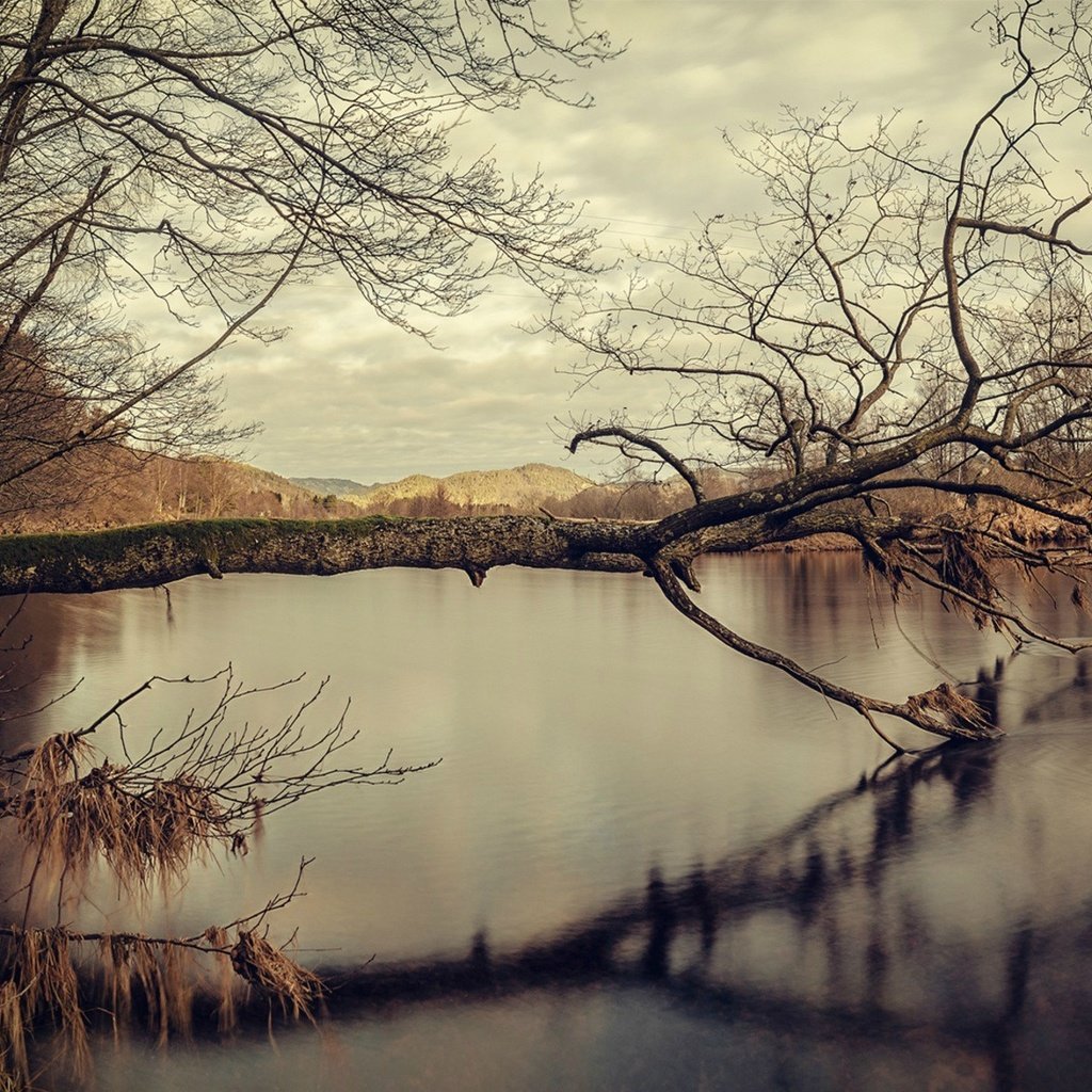 Обои озеро, дерево, отражение, осень, воде, lake, tree, reflection, autumn, water разрешение 1920x1200 Загрузить