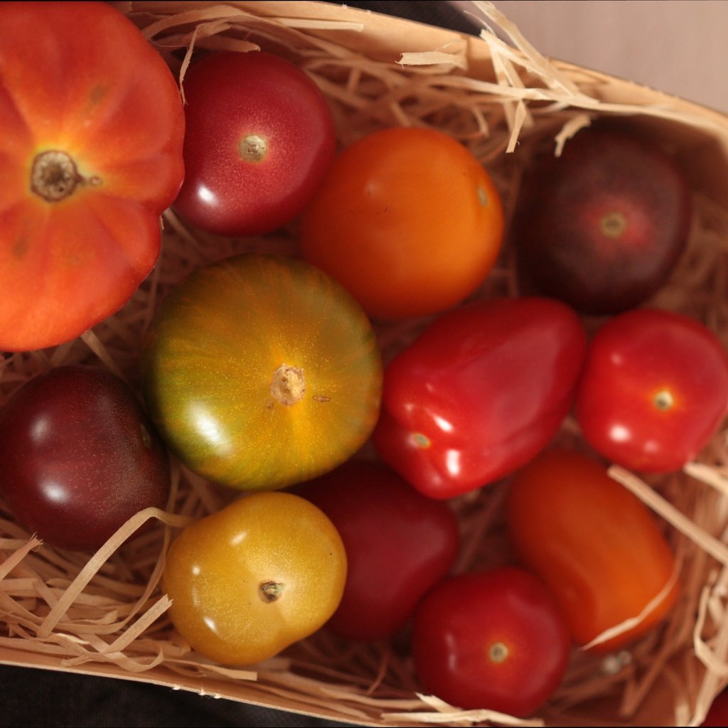 Обои овощи, корзинка, помидоры, vegetables, basket, tomatoes разрешение 4276x2854 Загрузить