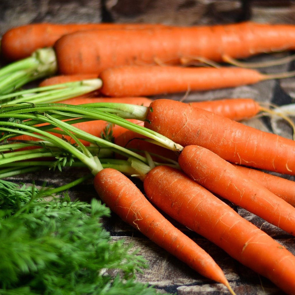 Обои урожай, овощи, морковь, harvest, vegetables, carrots разрешение 5561x2821 Загрузить