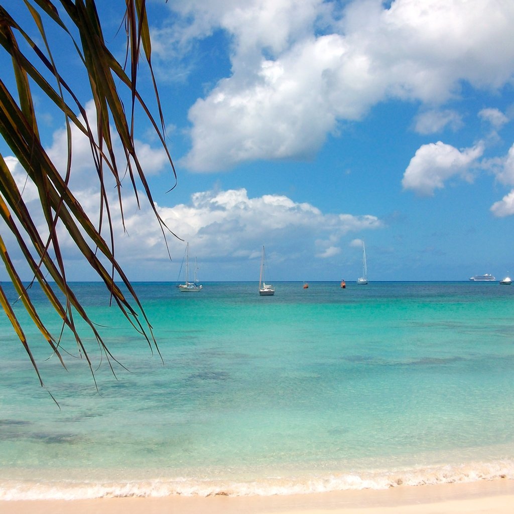 Обои море, пляж, яхты, тропики, sea, beach, yachts, tropics разрешение 3254x2433 Загрузить