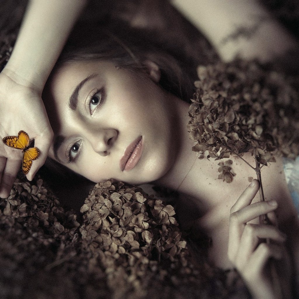 Обои цветы, девушка, портрет, бабочка, модель, фотосессия, ania, flowers, girl, portrait, butterfly, model, photoshoot разрешение 2000x1333 Загрузить